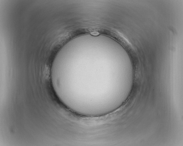 X0000116060025200912041903