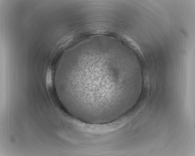 X0000116060026200912041903