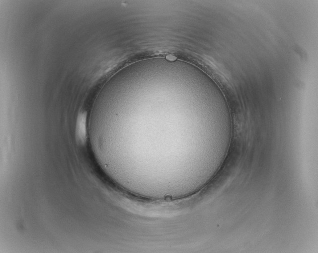 X0000116060028200912041903