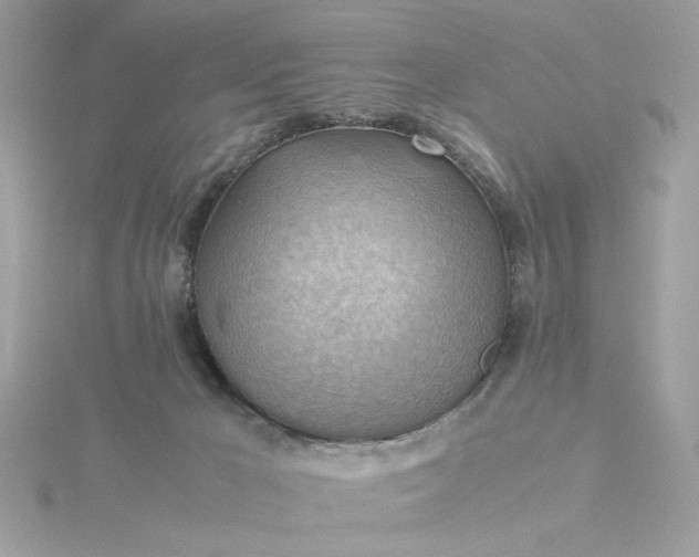 X0000116060029200912041903