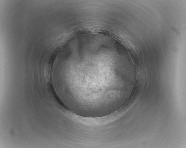 X0000116060030200912041903