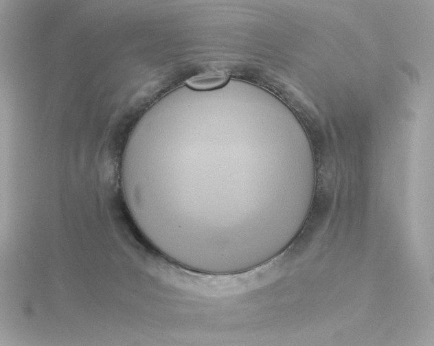 X0000116060031200912041903