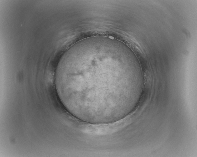 X0000116060033200912041903