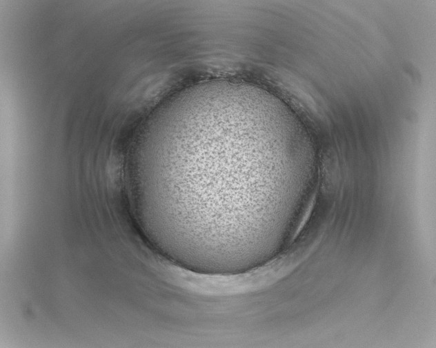 X0000116060034200912041903