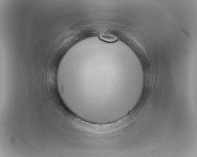 X0000116060035200912041903