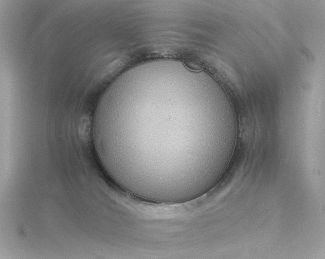 X0000116060036200912041903