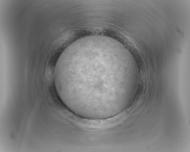 X0000116060037200912041903