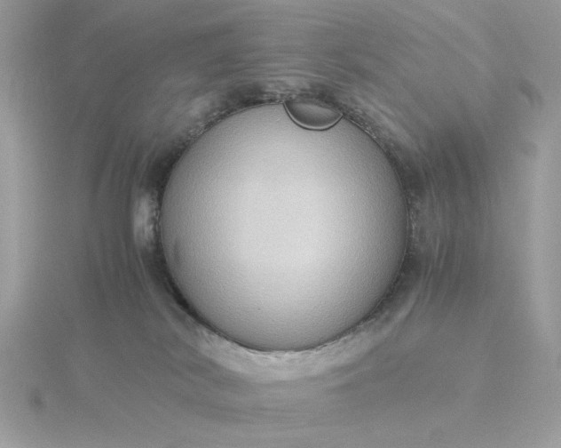 X0000116060038200912041903