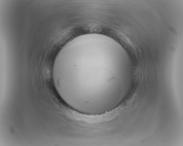 X0000116060039200912041903