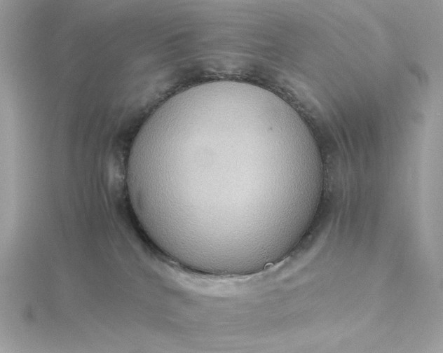 X0000116060040200912041903