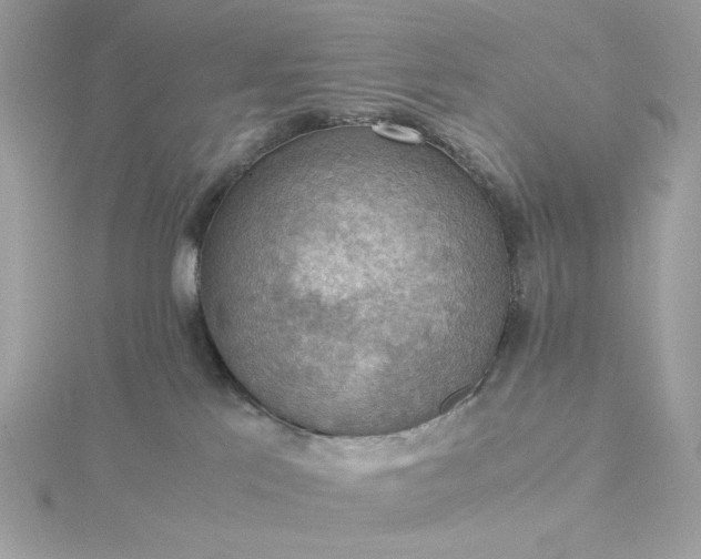 X0000116060041200912041903