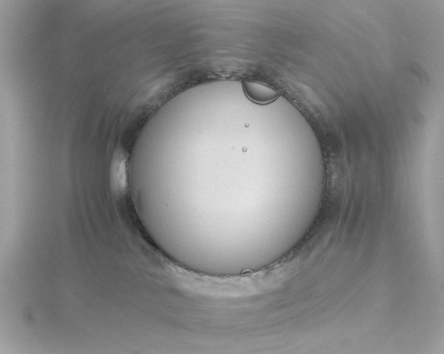 X0000116060042200912041903