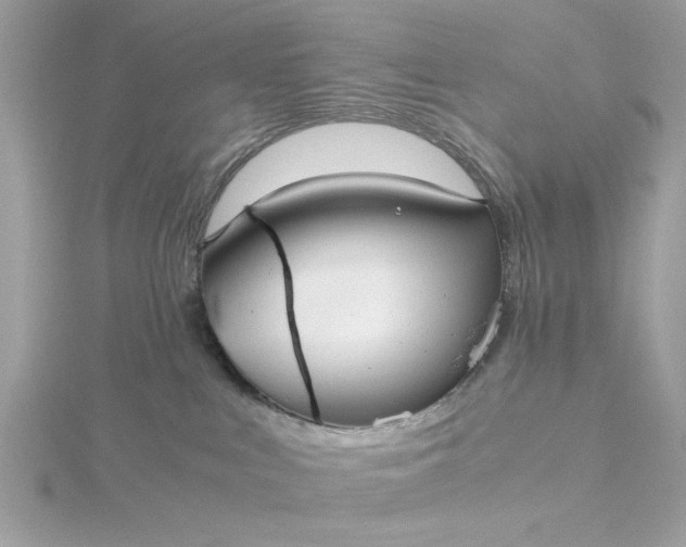 X0000116060043200912041903