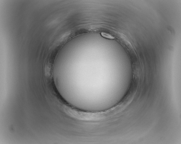 X0000116060044200912041903