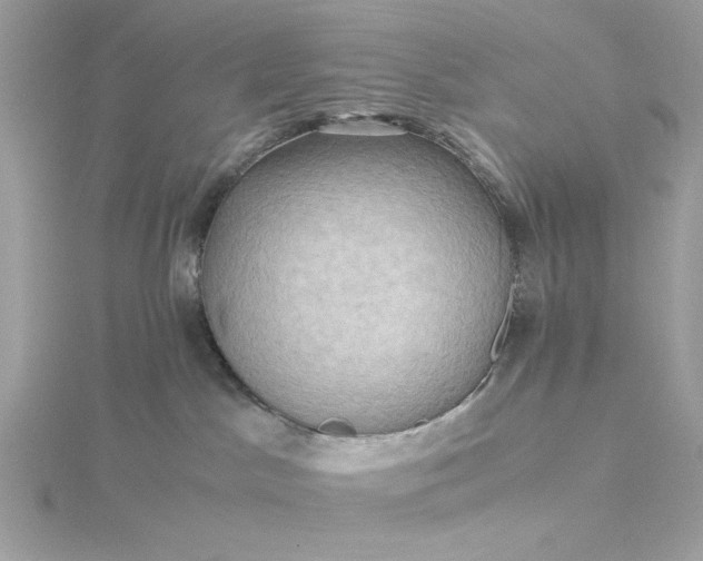 X0000116060045200912041903