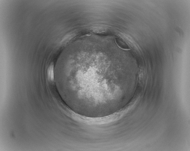 X0000116060046200912041903