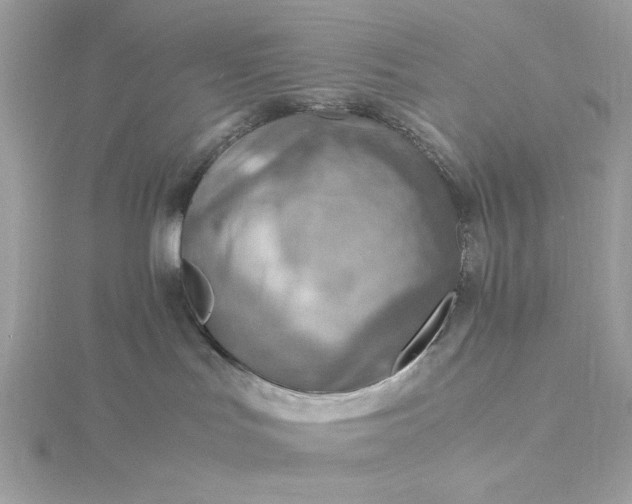 X0000116060047200912041903