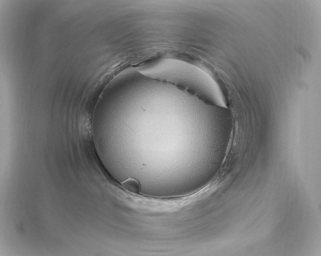 X0000116060048200912041903