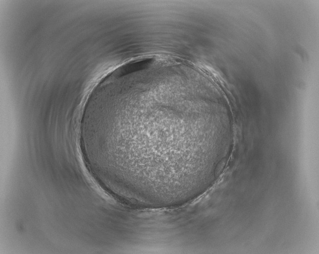 X0000116060049200912041902