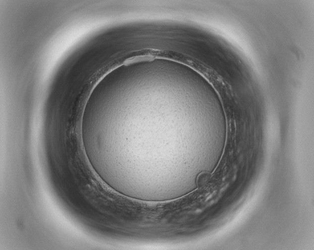 X0000116060050200912041902