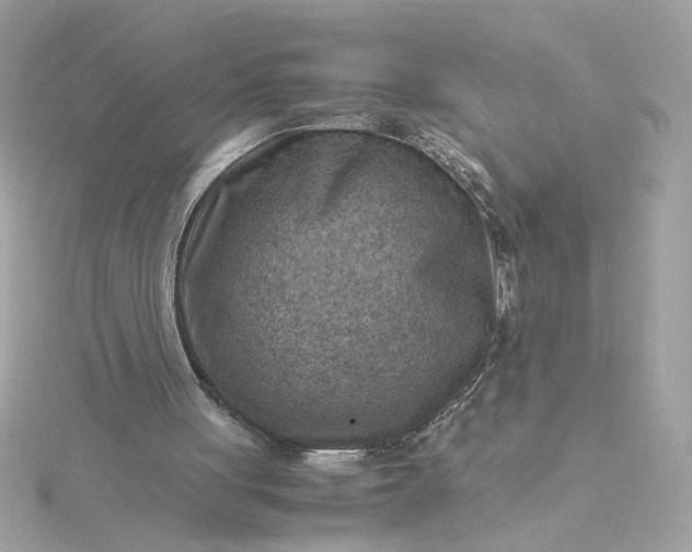 X0000116060051200912041902