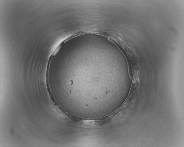 X0000116060052200912041902