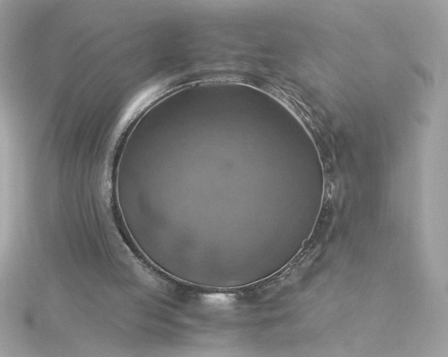 X0000116060053200912041902