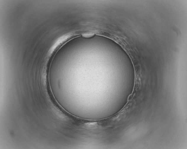 X0000116060054200912041902