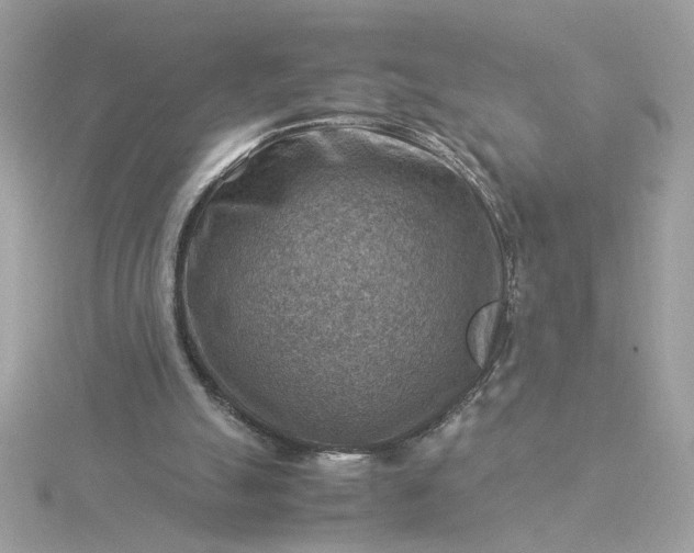 X0000116060055200912041902