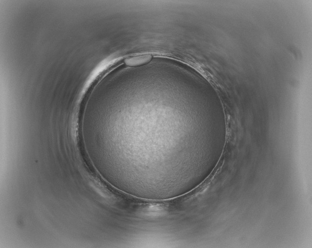 X0000116060056200912041902