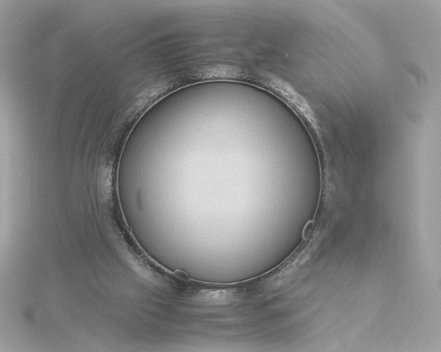 X0000116060057200912041902