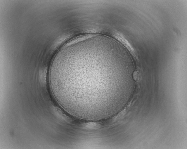 X0000116060058200912041902