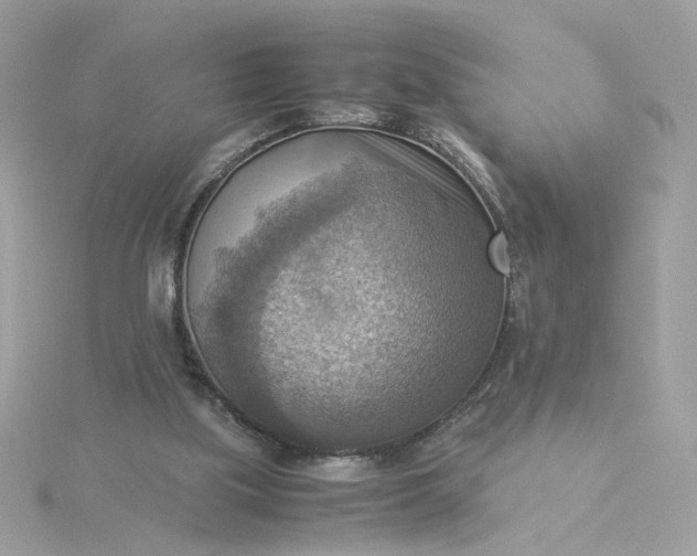 X0000116060059200912041902