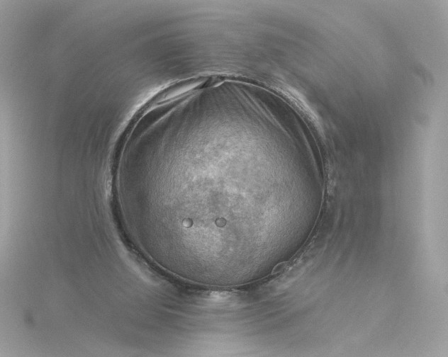 X0000116060060200912041902