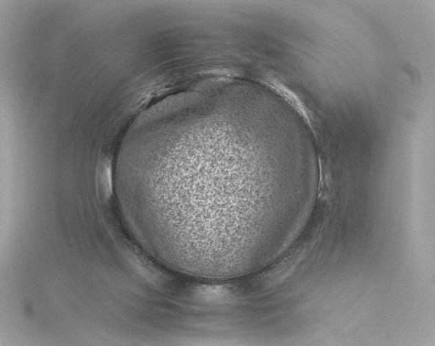 X0000116060061200912041902