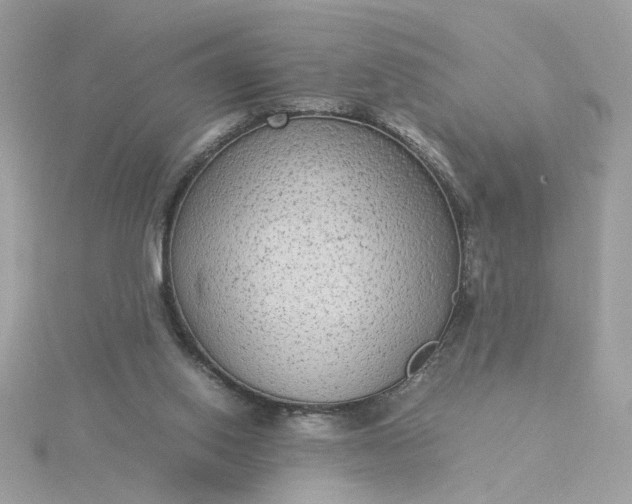 X0000116060062200912041902