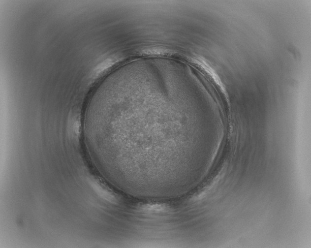 X0000116060063200912041902