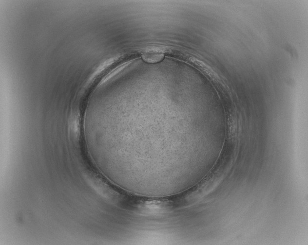 X0000116060064200912041902