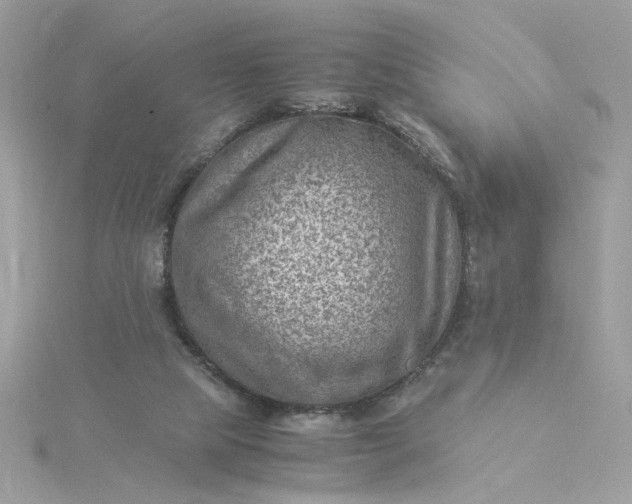 X0000116060065200912041902