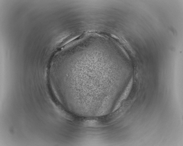 X0000116060066200912041902