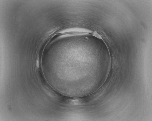 X0000116060068200912041902