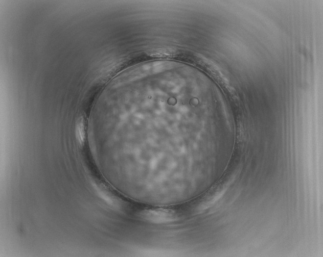 X0000116060069200912041902