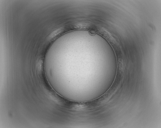 X0000116060071200912041902