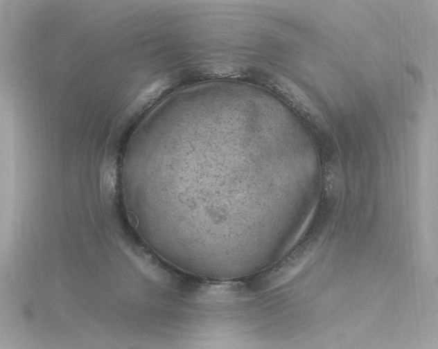 X0000116060072200912041902