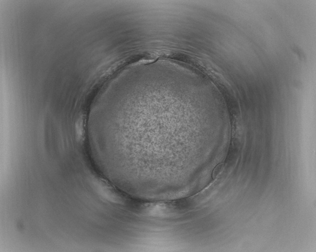 X0000116060074200912041902