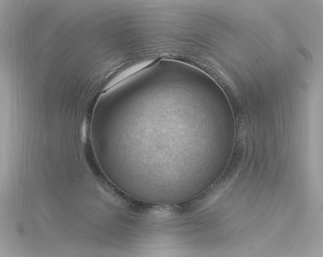 X0000116060076200912041903