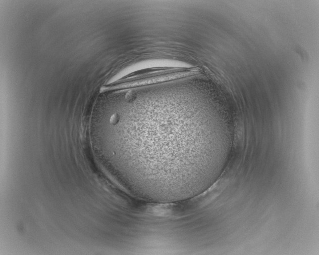 X0000116060078200912041903