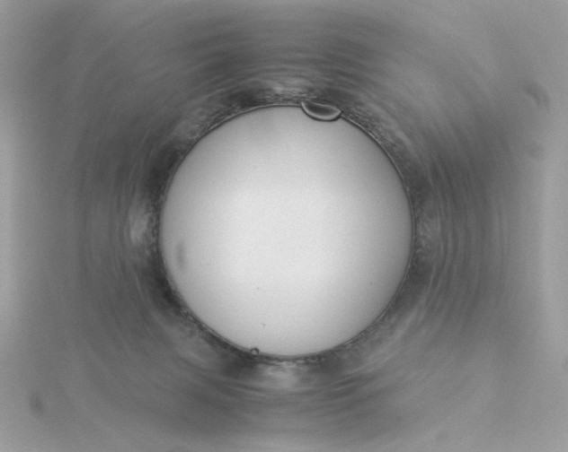 X0000116060079200912041903