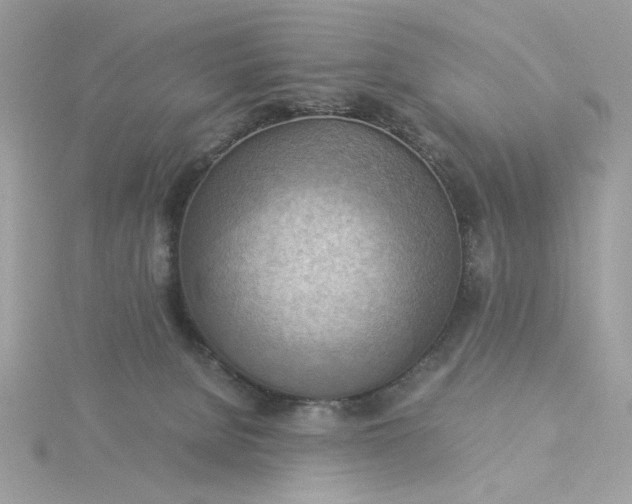 X0000116060080200912041903