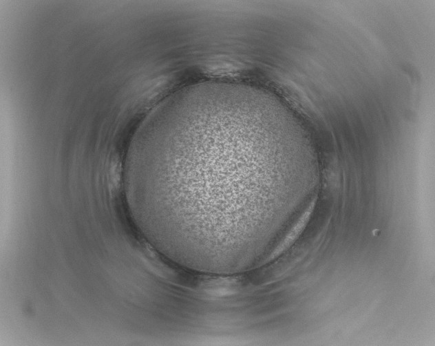 X0000116060081200912041903